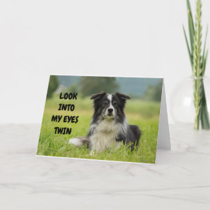 CARTE CHIEN SÉRIEUX VEUT QUE JUMEAU AIT L'ANNIVERSAIRE L