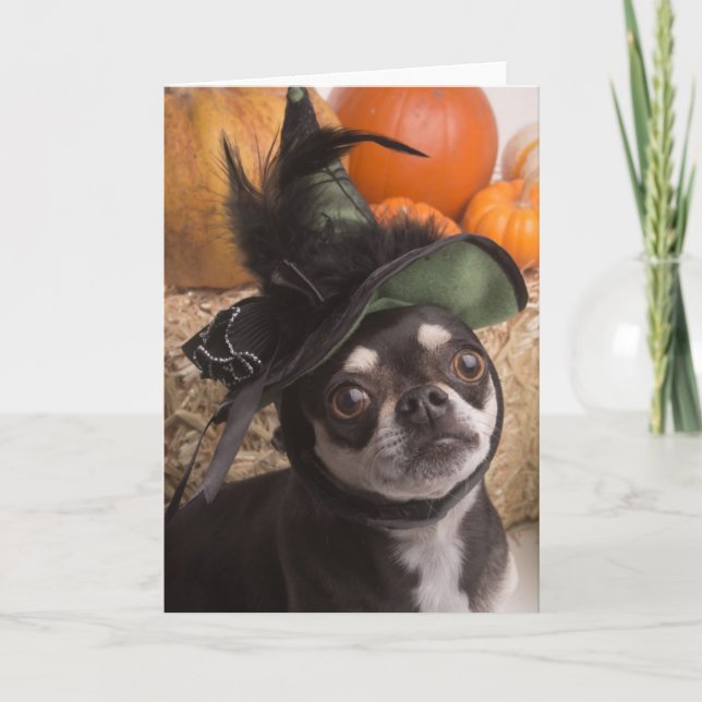 Carte Chien sorcier d'Halloween (Devant)