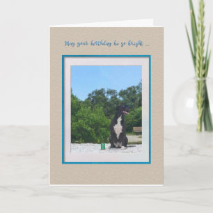 Carte Chien Sur La Plage Anniversaire