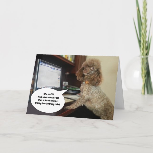 Carte Chien sur l'ordinateur, accuse Chat Funny Annivers (Devant)