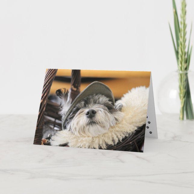Carte Chien Tzu Cher (Devant)
