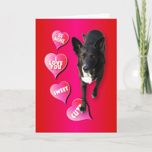 Carte Chien Valentine mignonne
