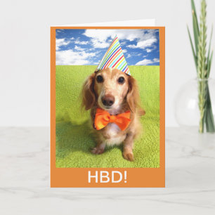 Carte Chien Wiener HBD