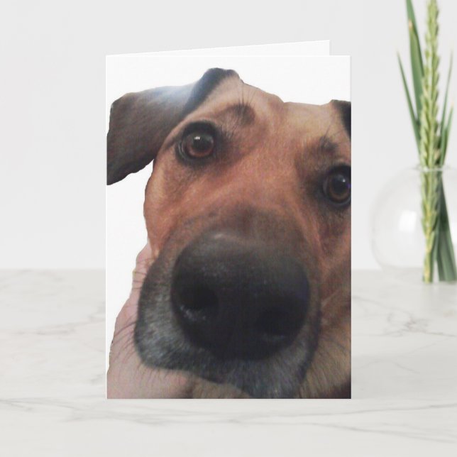 Carte Chienchien bonjour (Devant)