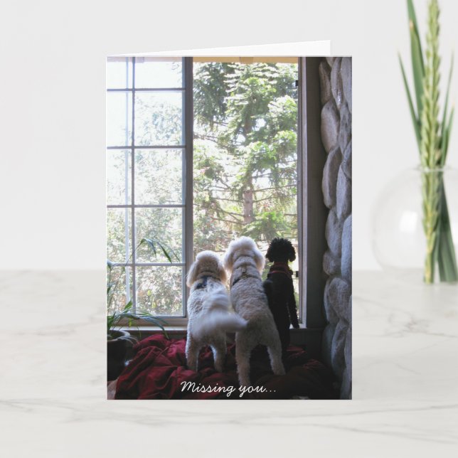 Carte Chienchiens vous manquant (Devant)