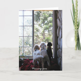 Carte Chienchiens vous manquant