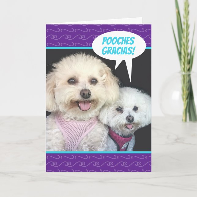 Carte Chiens Cute Poochon - Merci Pooches Gracias (Devant)