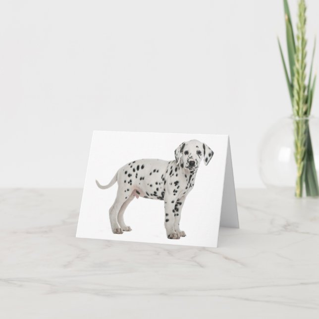 Carte Chiens dalmatien chiots Bonjour Merci Amour, Désol (Devant)