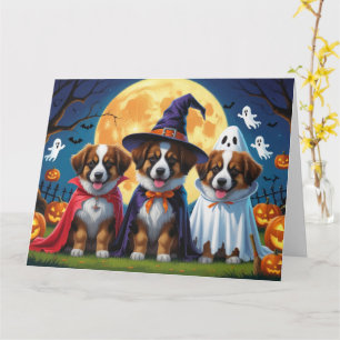 Carte Chiens de berger belges Citrouille Halloween Drôle