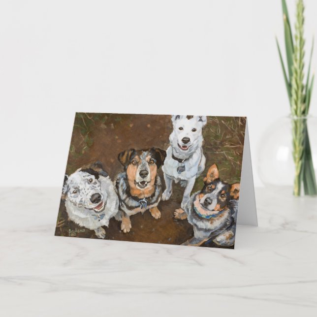 Carte Chiens de bétail souriants Chiens de bétail et gué (Devant)