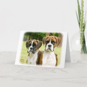 Carte Chiens de boîte 9Y049D-064