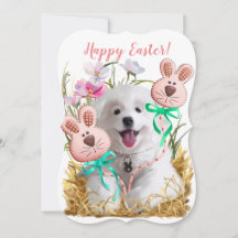 Chiens de chiot et de pain d'épice japonais