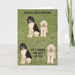 Carte Chiens de Doodle Dorés Distants Sociaux