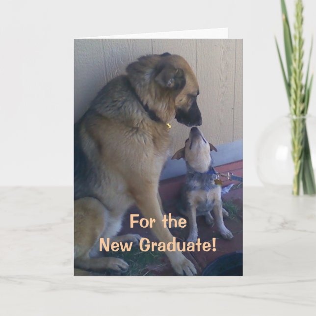 Carte Chiens de félicitations d'obtention du diplôme (Devant)