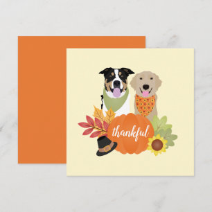Carte Chiens de grâce Thanksgiving Citrouilles de récolt