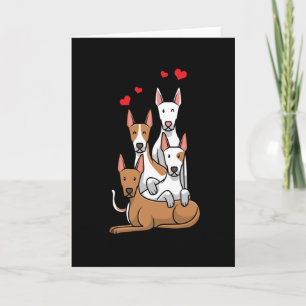 Carte Chiens de Podenco