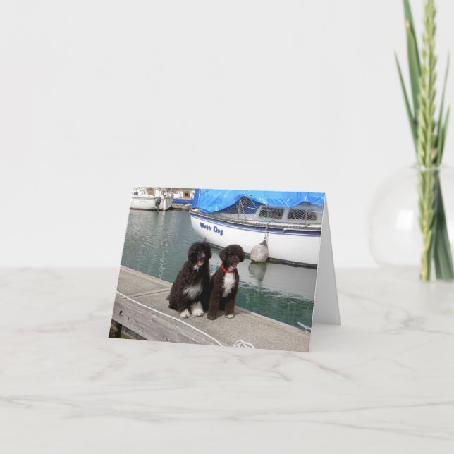 Carte Chiens d'eau sur le dock (Devant)