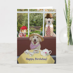 Carte Chiens drôles/anniversaire femelle de laboratoires