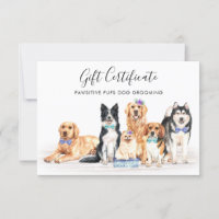 Chiens Entretien des animaux de compagnie Chien En