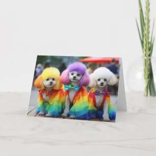 Carte Chiens gay pride Bichon Frisse
