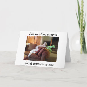 CARTE CHIENS REGARDANT LE FILM À PROPOS DE CRAZY CATS-BI