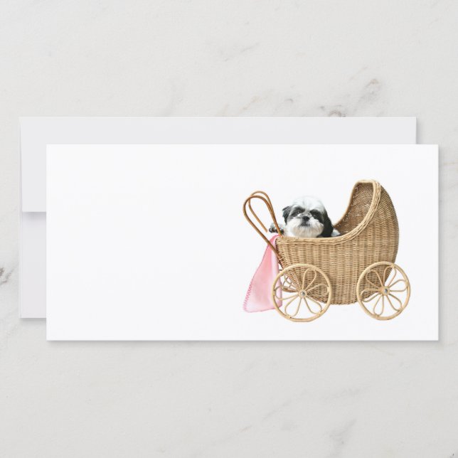 Carte Chih Tzu baby buggy (Devant)