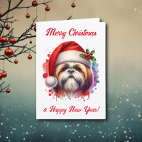 Chih Tzu Chien à Santa Hat Noël