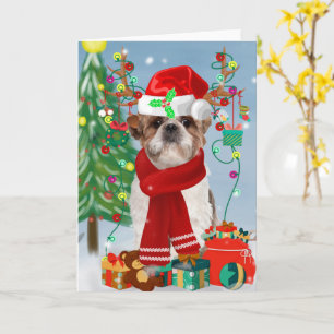 Carte Chih Tzu Chien dans Noël de neige