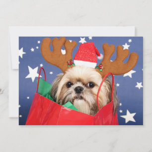 Carte Chih Tzu chien dans un sac rouge