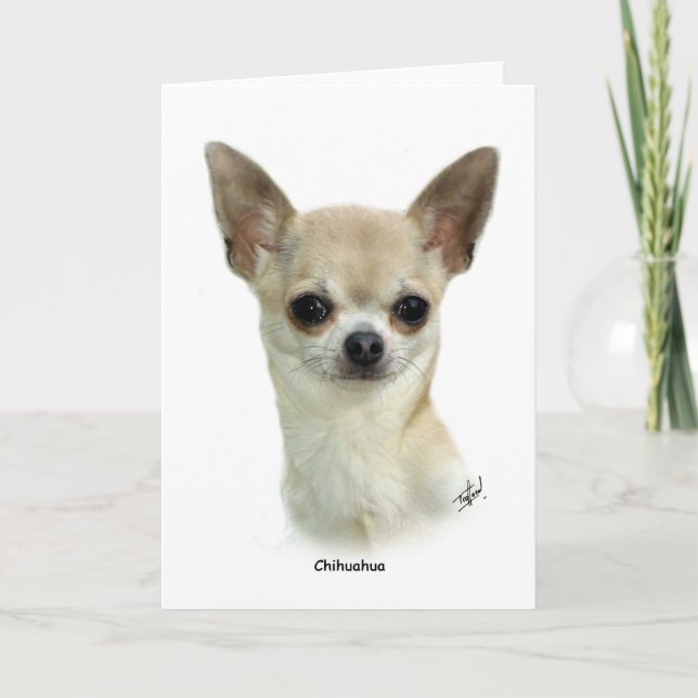 Carte Chihuahua 9P93D-123_2 (Devant)