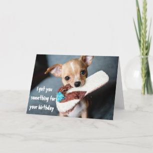 Carte Chihuahua Chiuppy mignonne Anniversaire du Chien