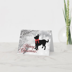Carte Chihuahua Joyeux Noël