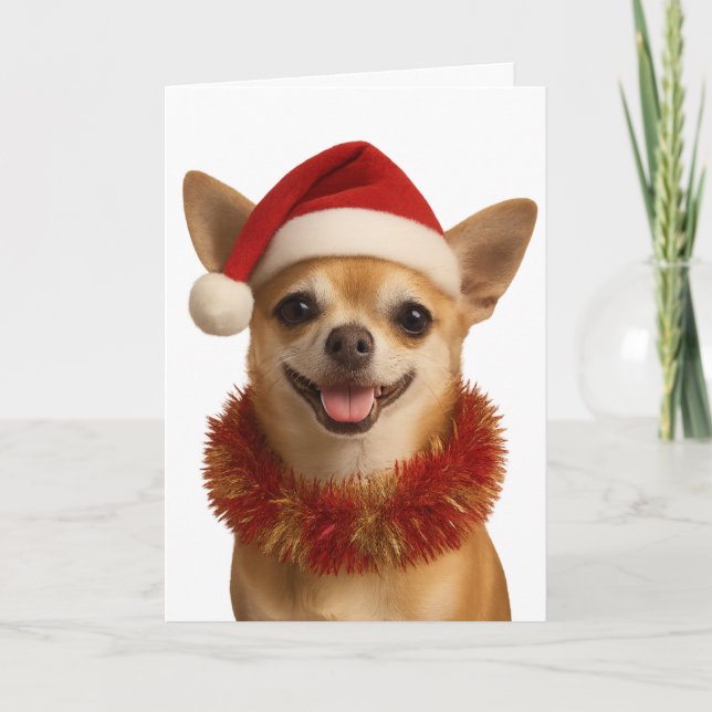 Carte Chihuahua looking cheeky Santa hat Christmas card (Devant)