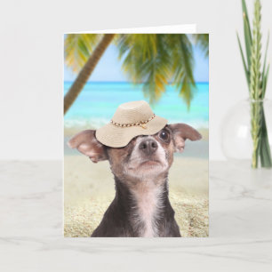Carte Chihuahua tropical en vacances