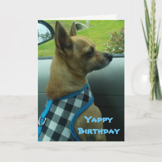 Carte Chihuahua Yappy Birthday Card