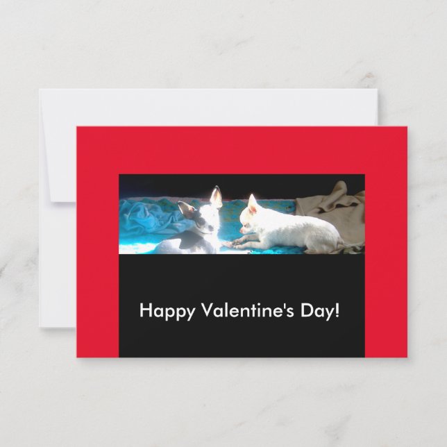 Carte Chihuahuas in Love Valentine Cards (Devant)