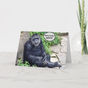 Carte Chimpanzé Vieillir