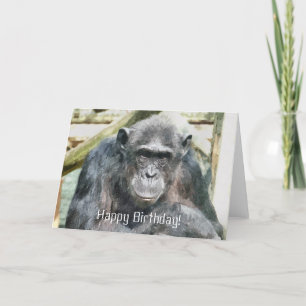 CARTE CHIMPANZEE
