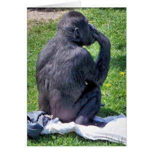 Carte CHIMPANZEE
