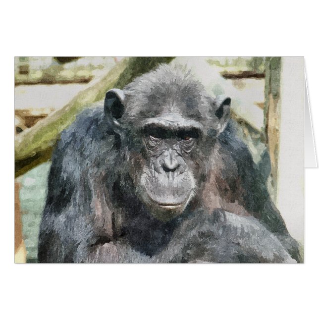 Carte CHIMPANZEES (Devant horizontal)