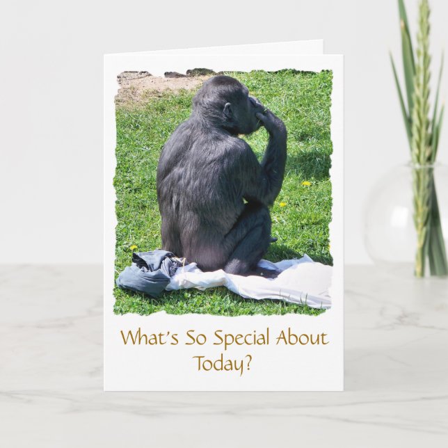 CARTE CHIMPANZÉS (Devant)
