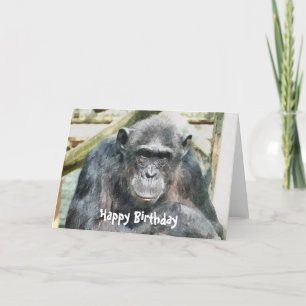 CARTE CHIMPANZÉS