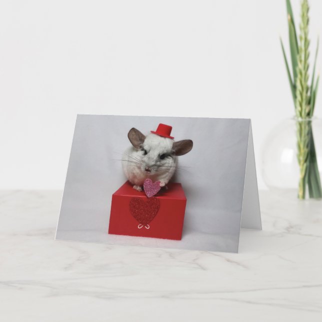 Carte Chinchilla blanche avec casquette et coeur (Devant)
