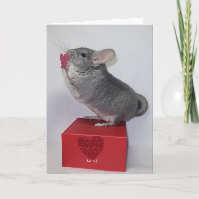 Carte Chinchilla tendant la main vers un cœur rose (Devant)