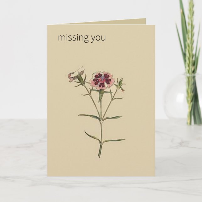 Carte Chine botanique modifiable Dianthus Salutation (Devant)