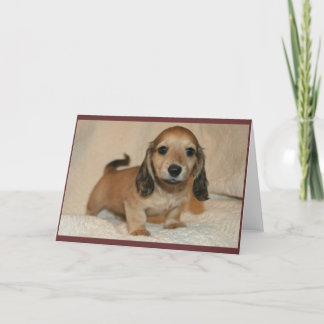 Carte Chiot
