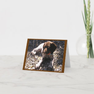 Carte Chiot allemand Chillin d'indicateur aux cheveux