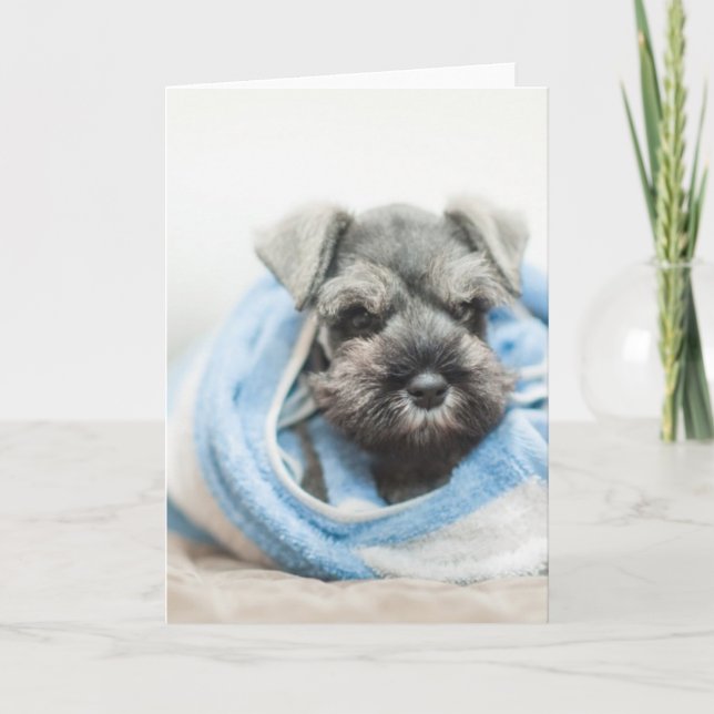 Carte Chiot après Bath (Devant)