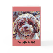 Chiot artistique lunatique de chien de Shih-Poo