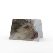 Chiot dans la neige